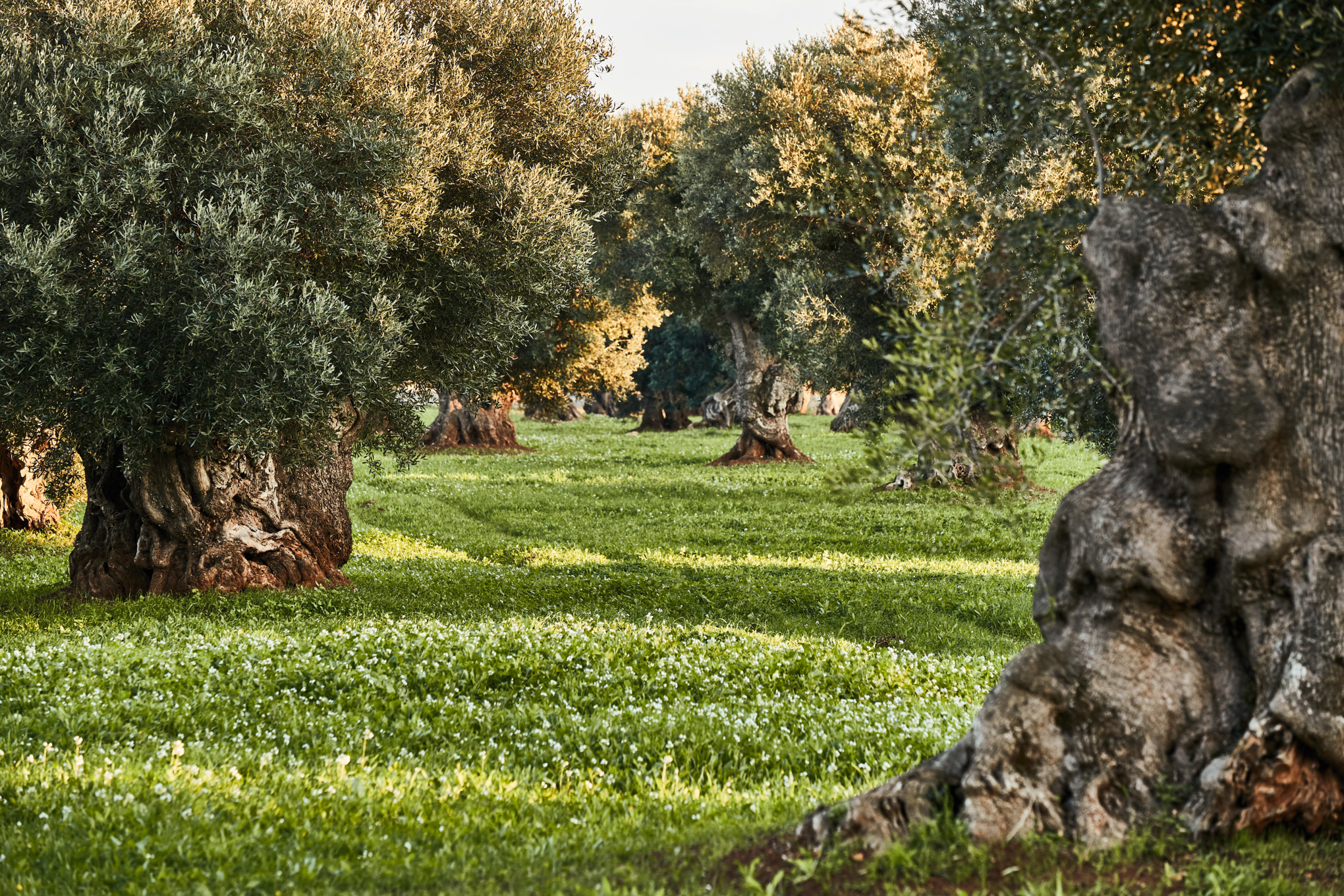 Политика за поверителност на доставчиците