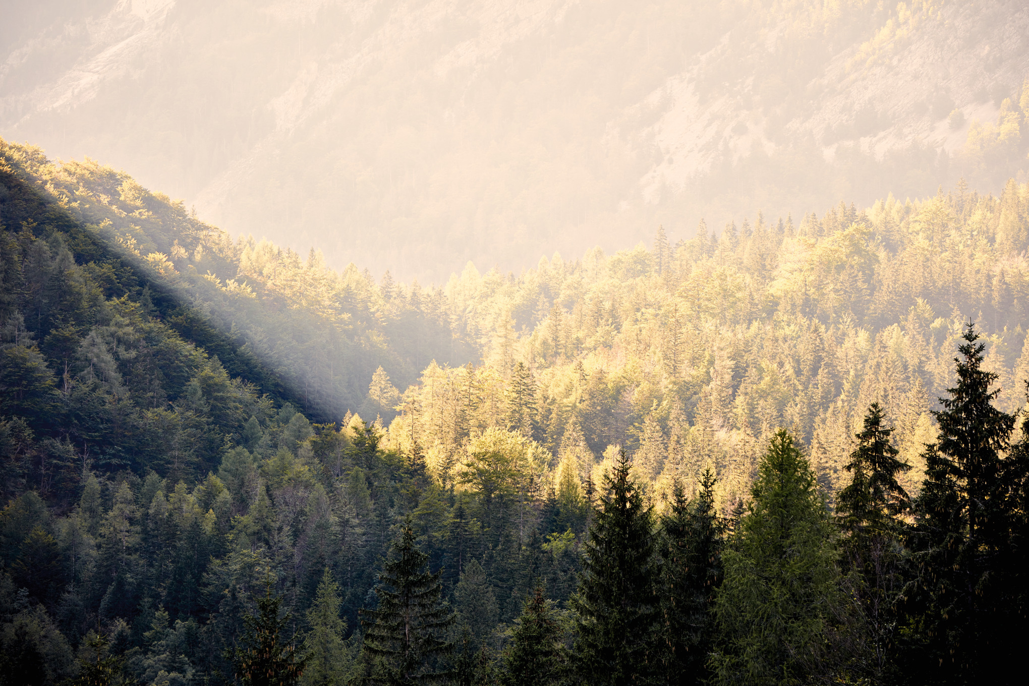 Търговски компании на STIHL по целия свят