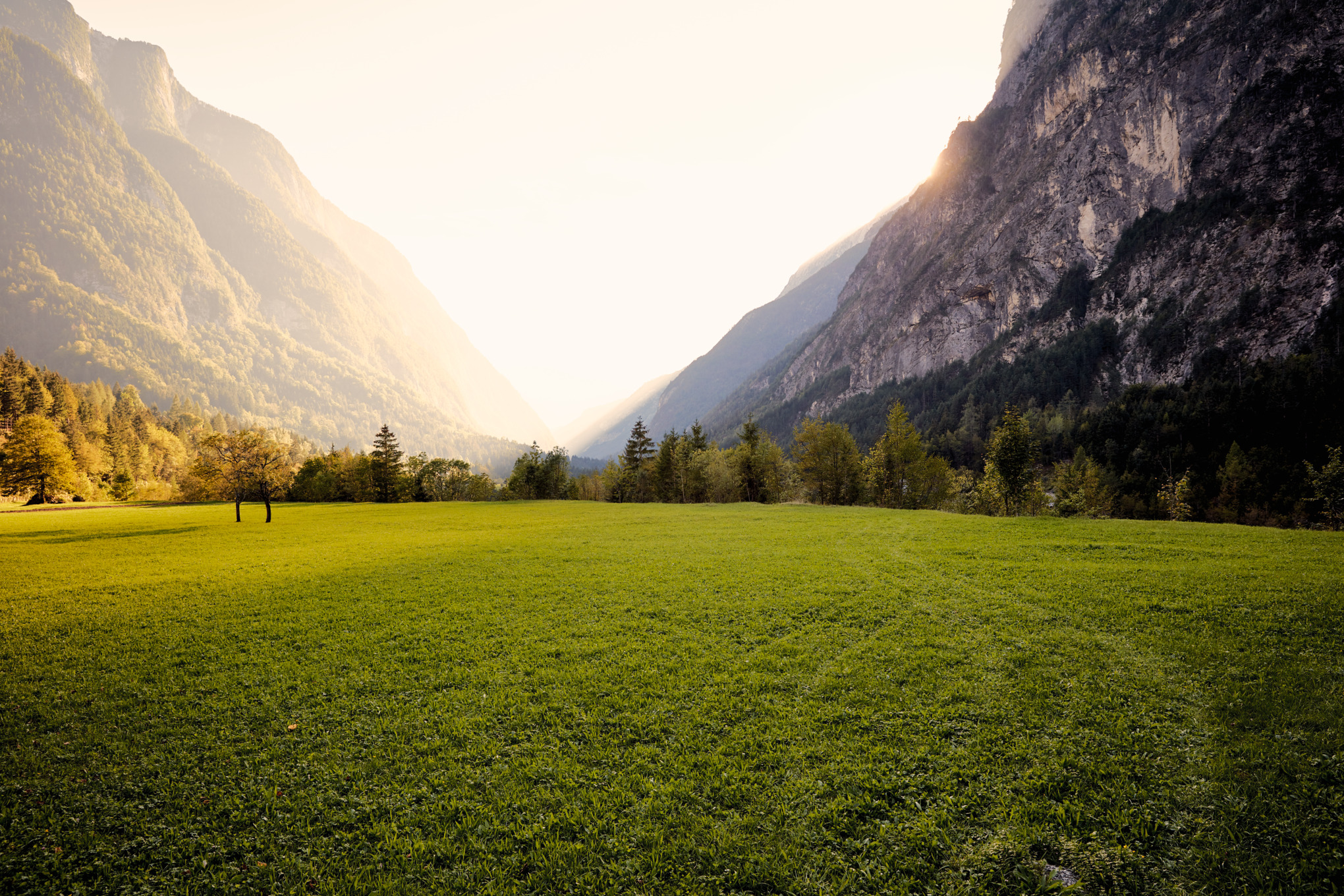 Контакти за пресата