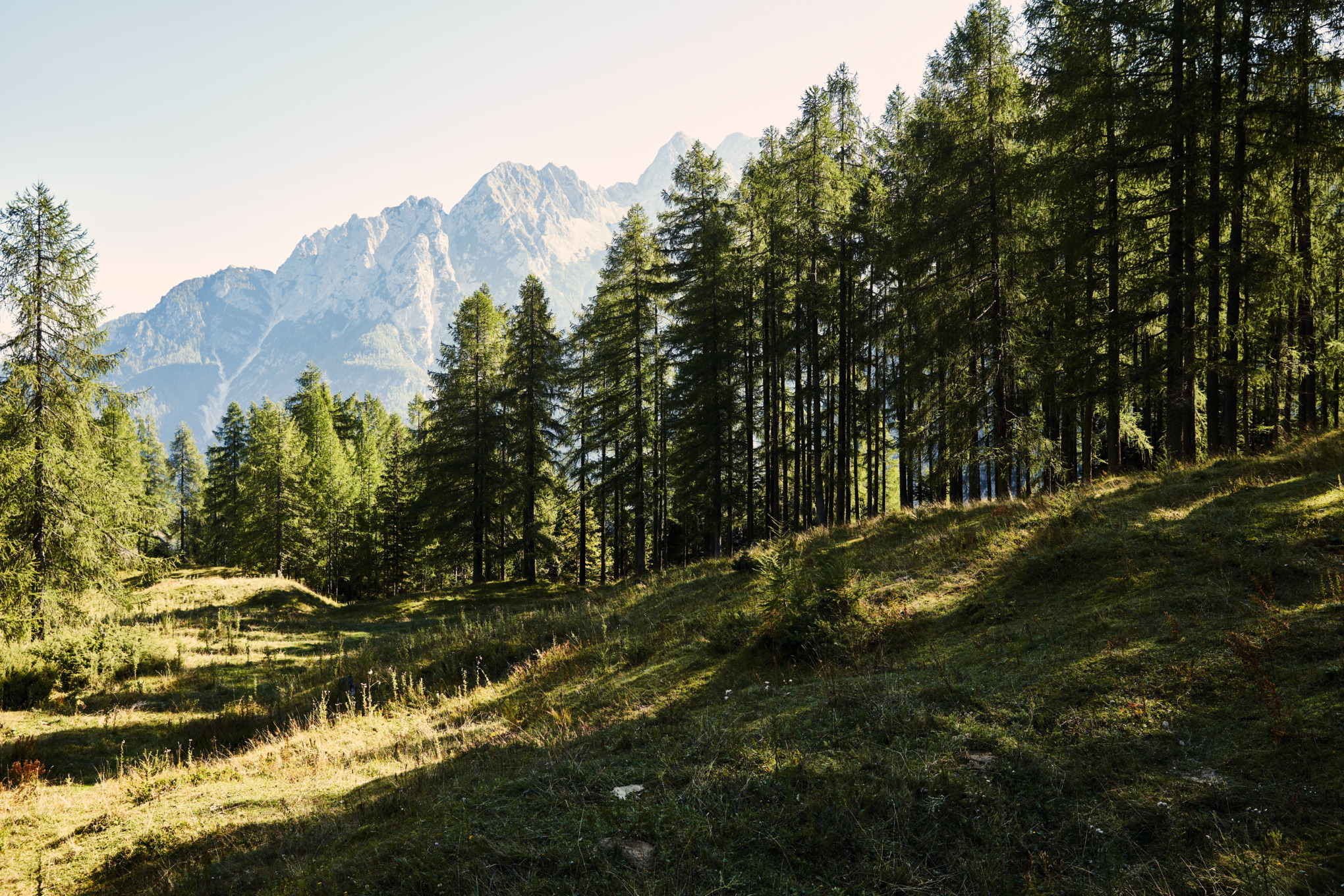 Информация за пресата