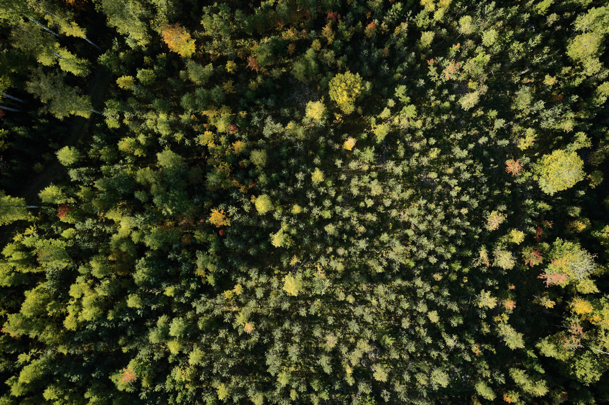 Нашите ценности