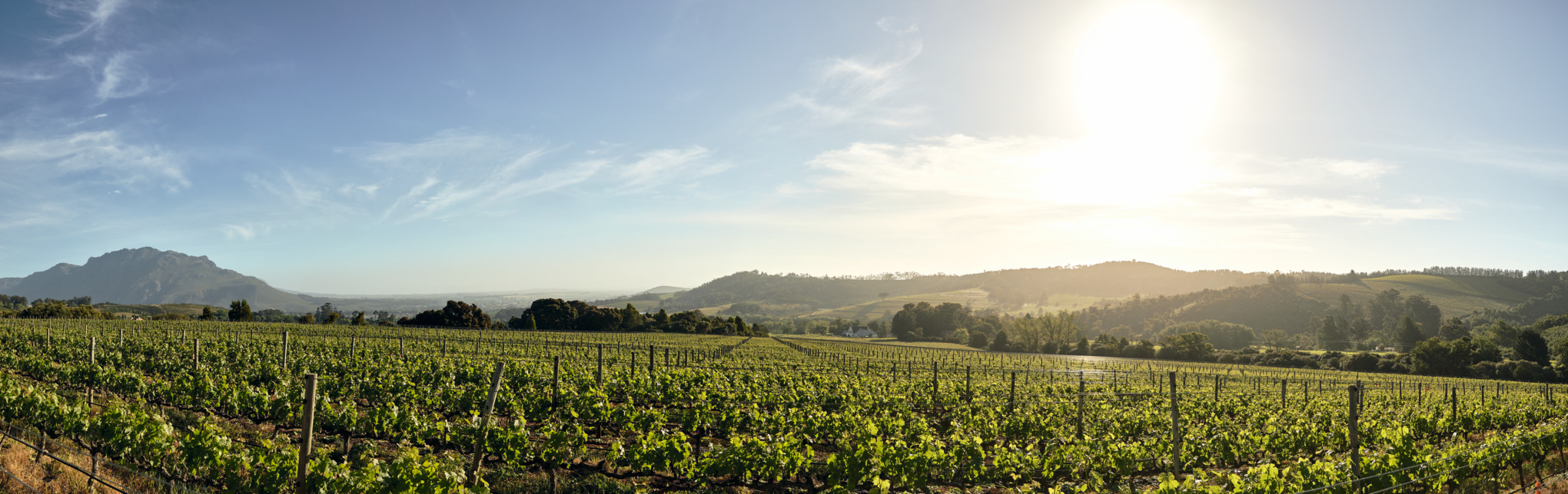 Търговски компании на STIHL в Африка