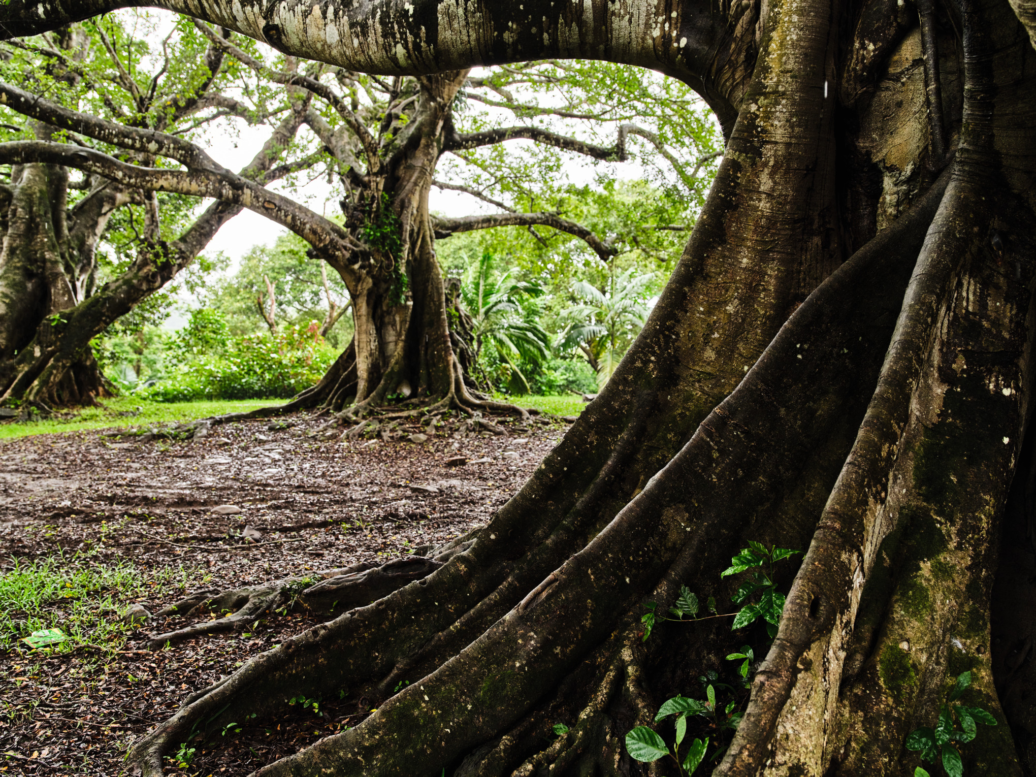 Климатична стратегия