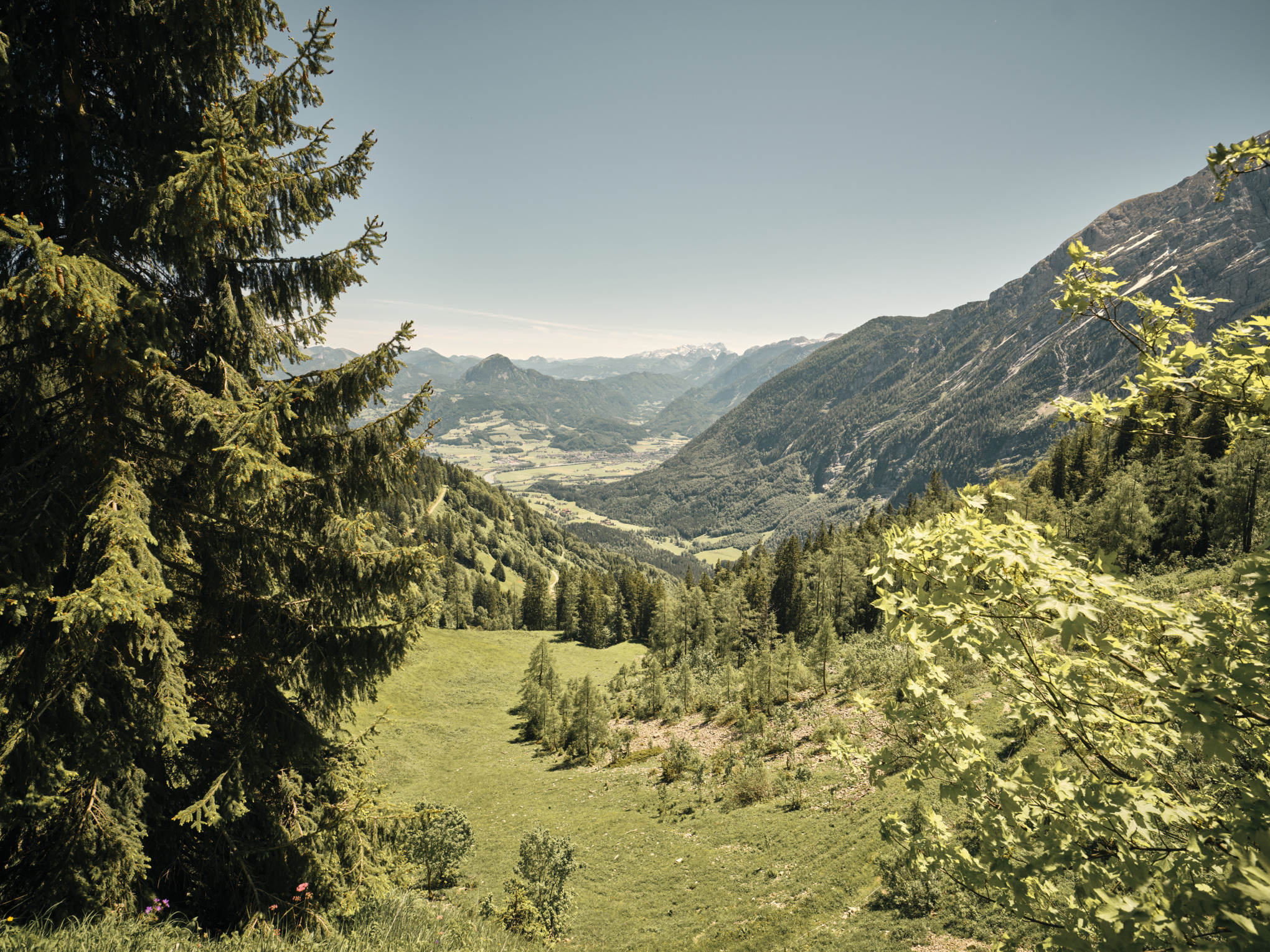 Доклад за устойчивост 2021