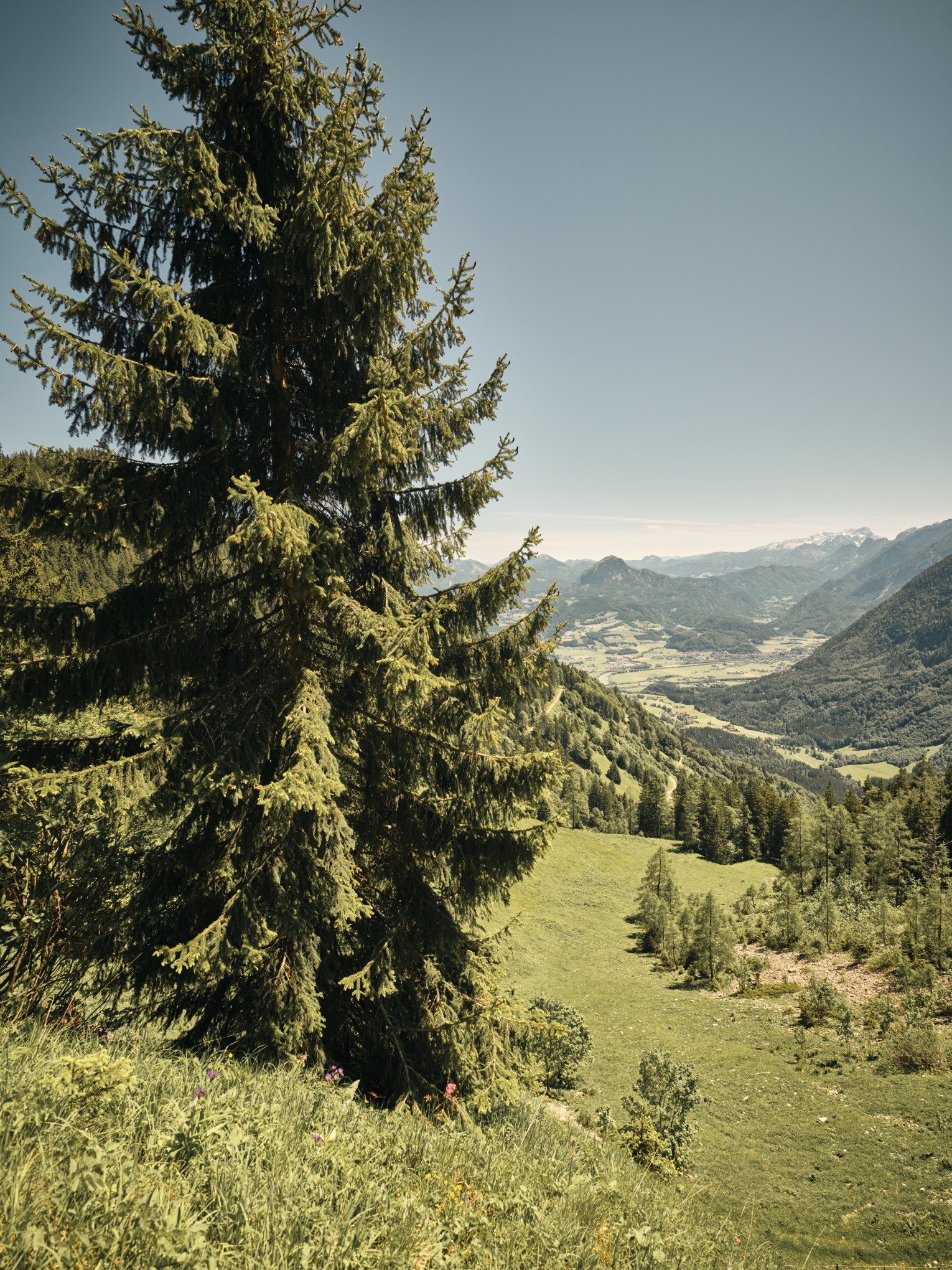 Стратегия за устойчивост