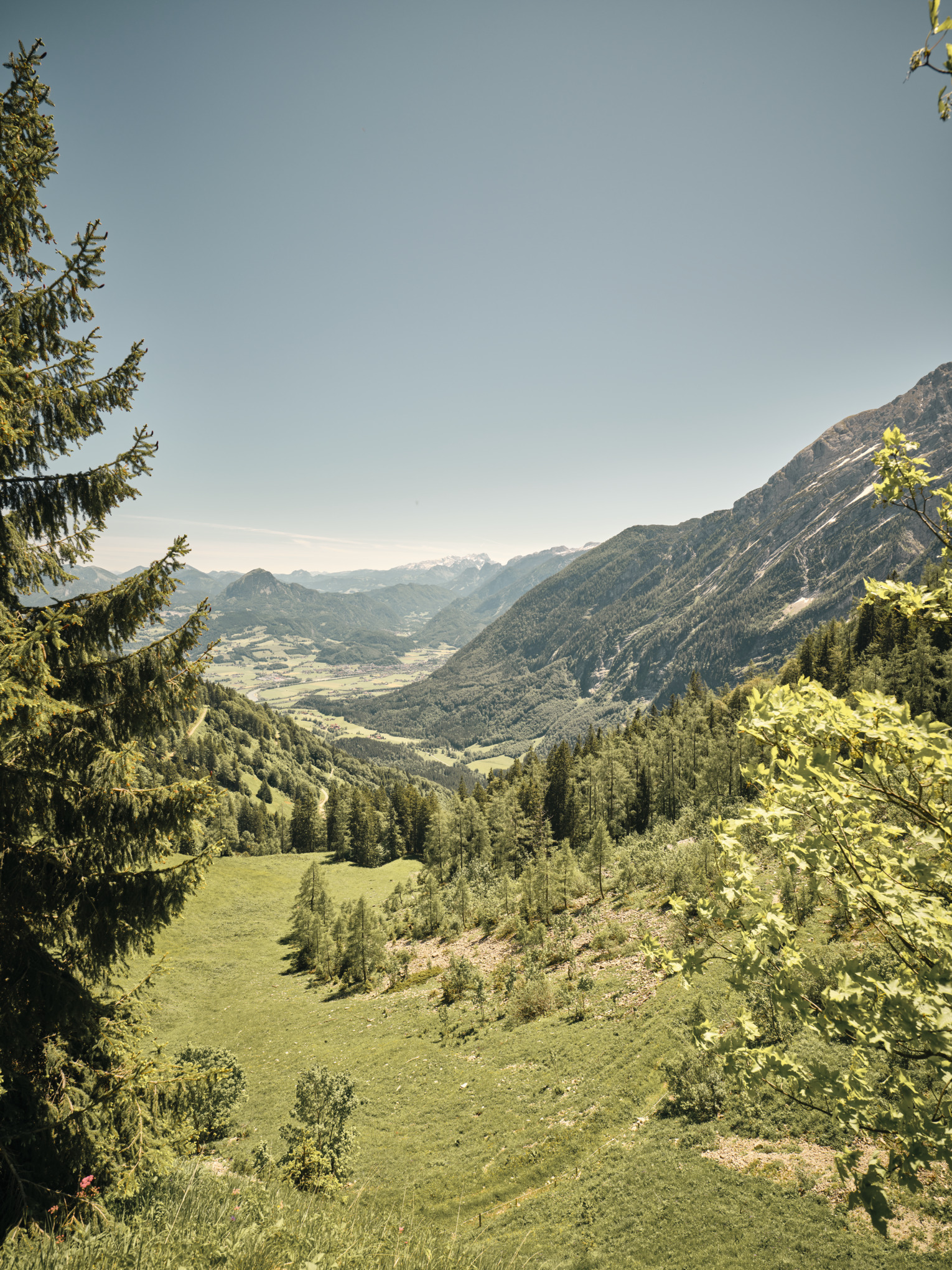 Доклад за устойчивост на STIHL