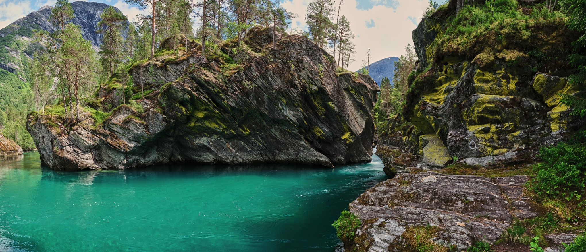 Търговски компании на STIHL Австралия/Тихоокеански регион