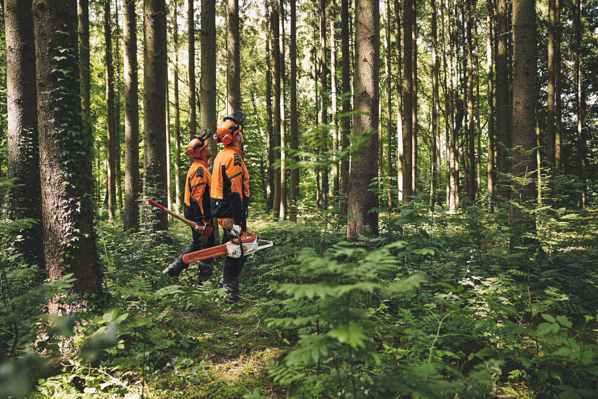 История на продукта