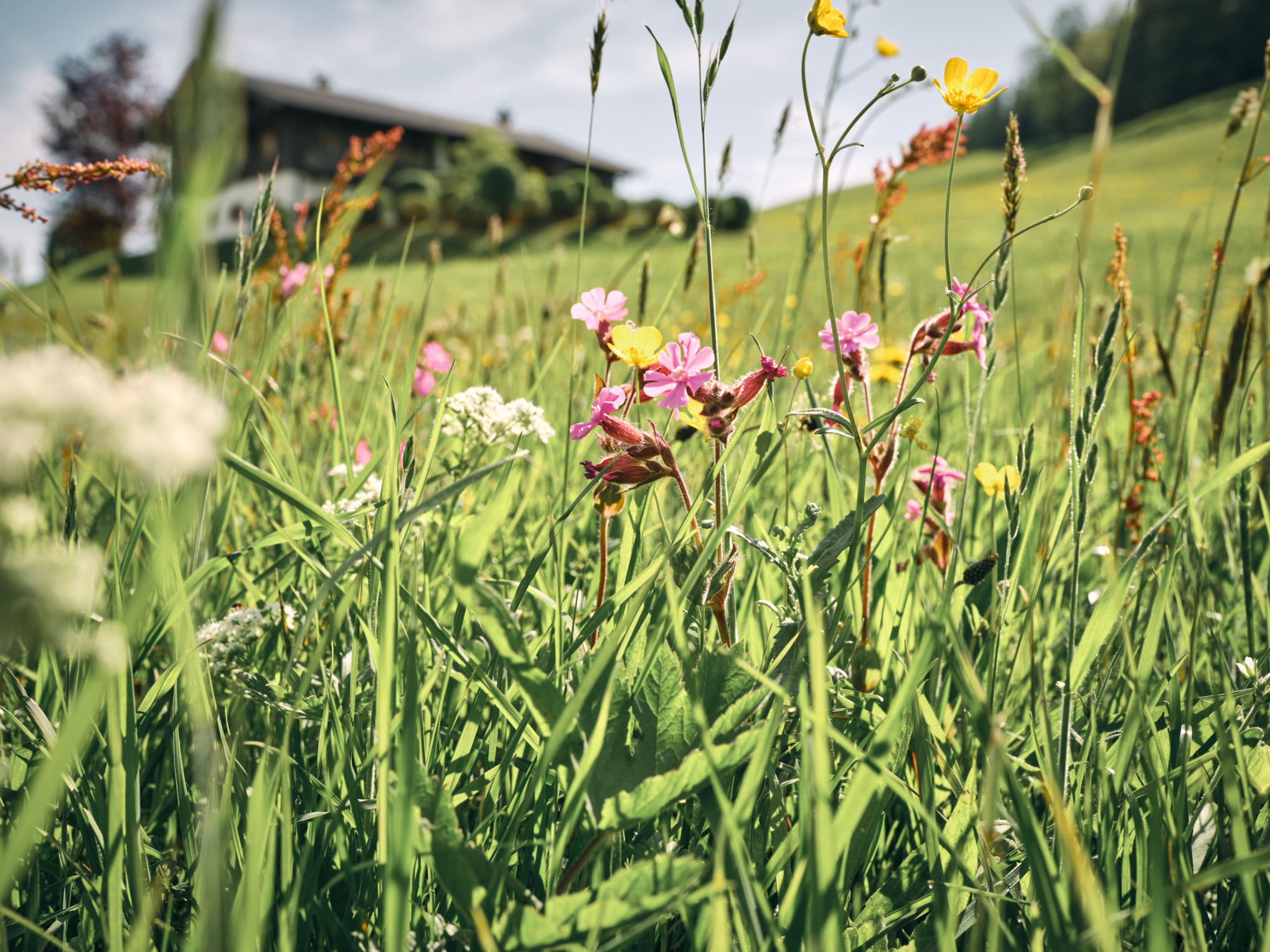 Околната среда