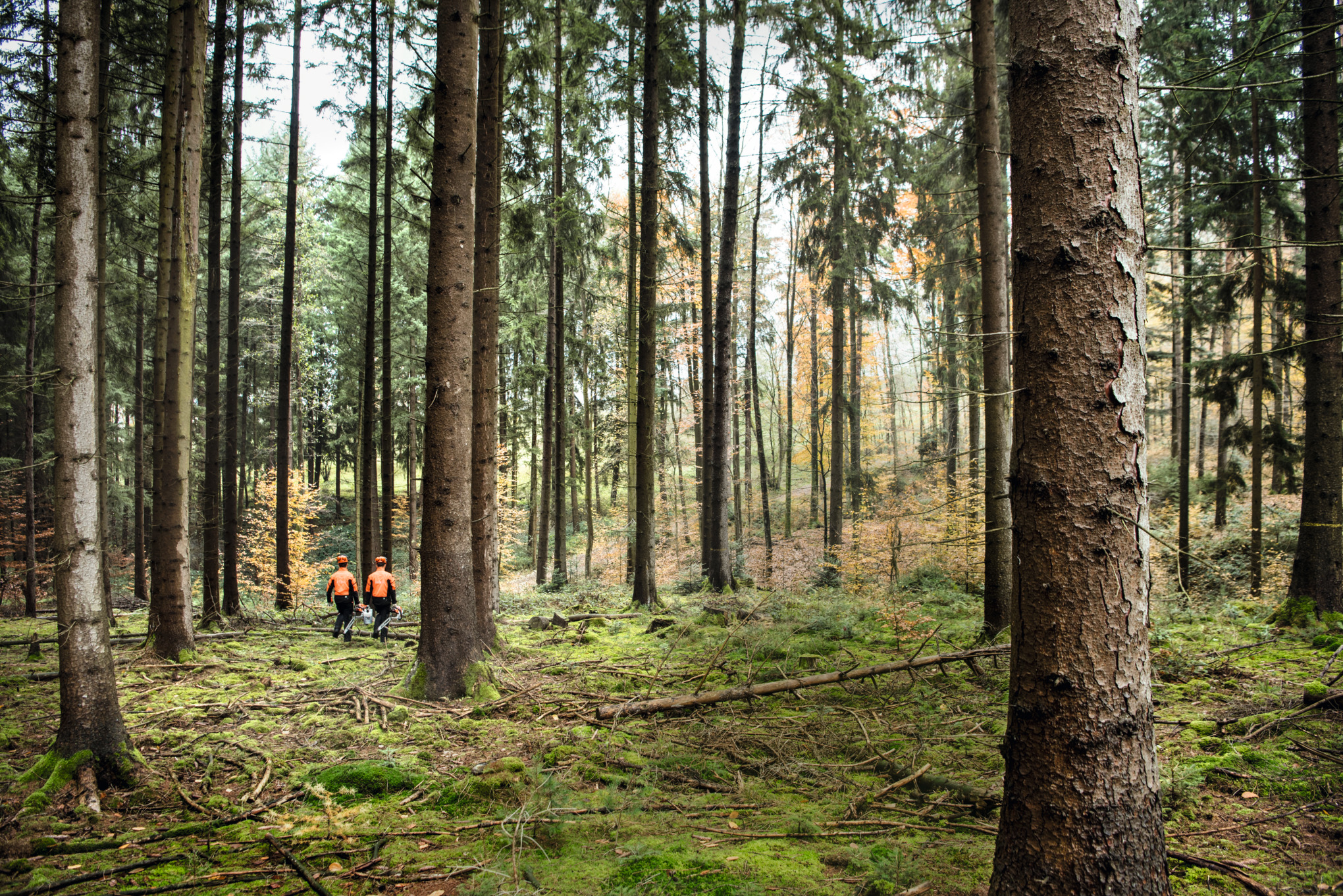 STIHL като компания